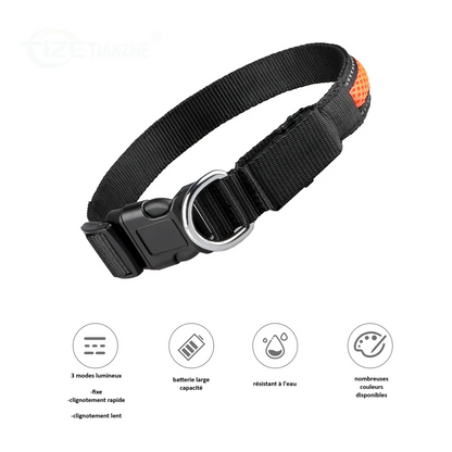 Collier pour chien led