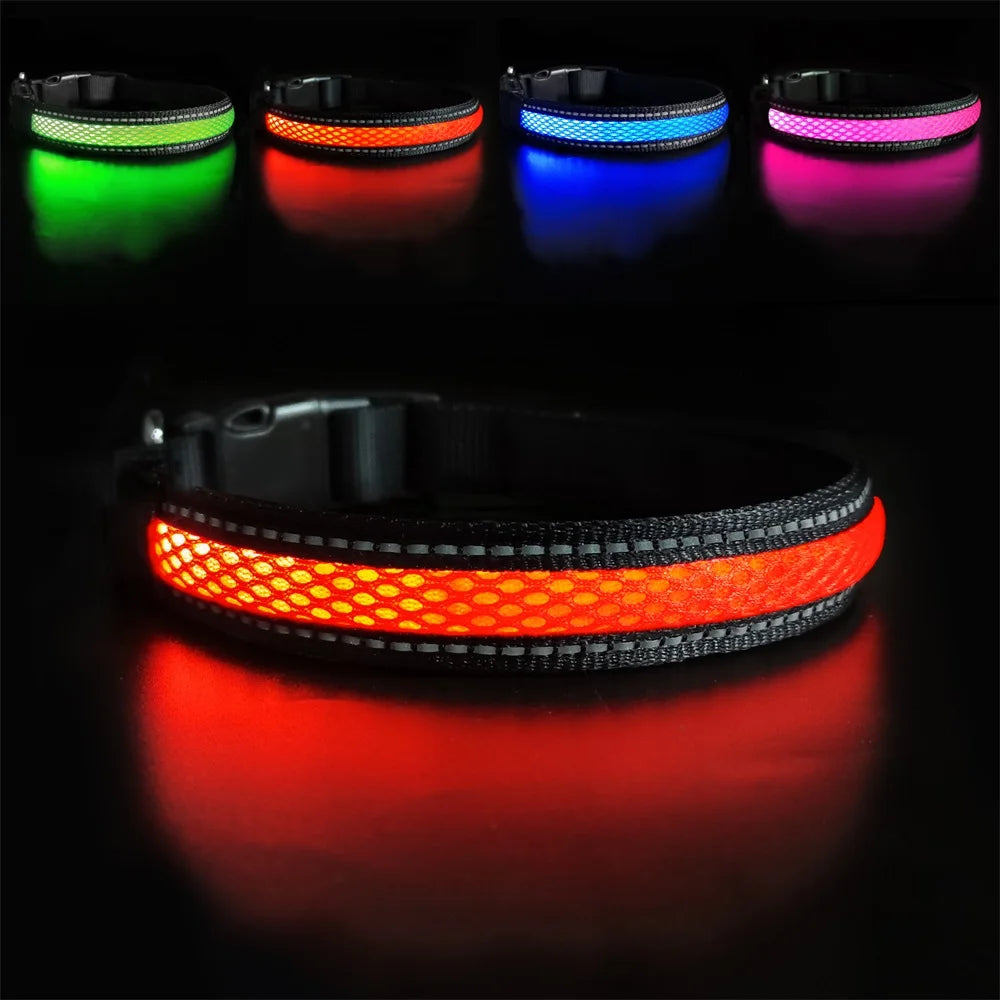 Collier pour chien led