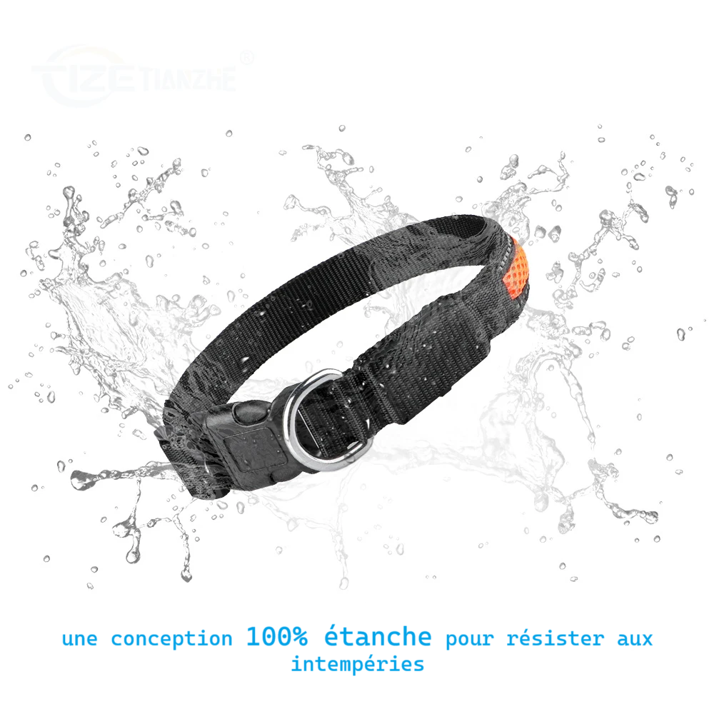 Collier pour chien led