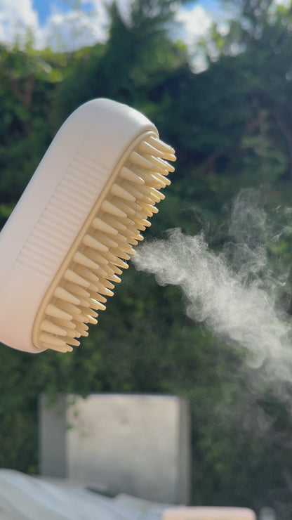 Brosse anti poils à vapeur